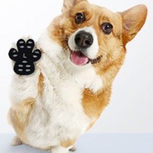 Barefoot Doobie Dog pads